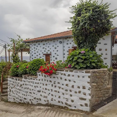 Kiwi Stonehouse *